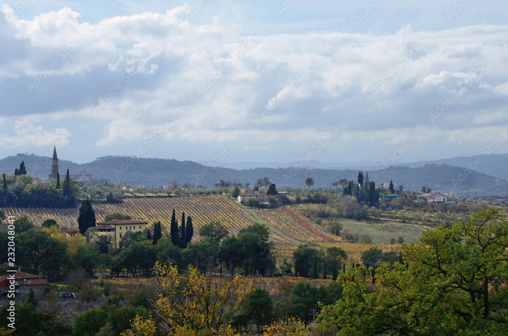 Fototapeta premium Tuscany, Italy, countryside landscape near Arezzo with the hills cultivated with vineyards and the Cathedral on the background, on an autumn day