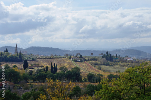 Tuscany, Italy, countryside landscape near Arezzo with the hills cultivated with vineyards and the Cathedral on the background, on an autumn day
