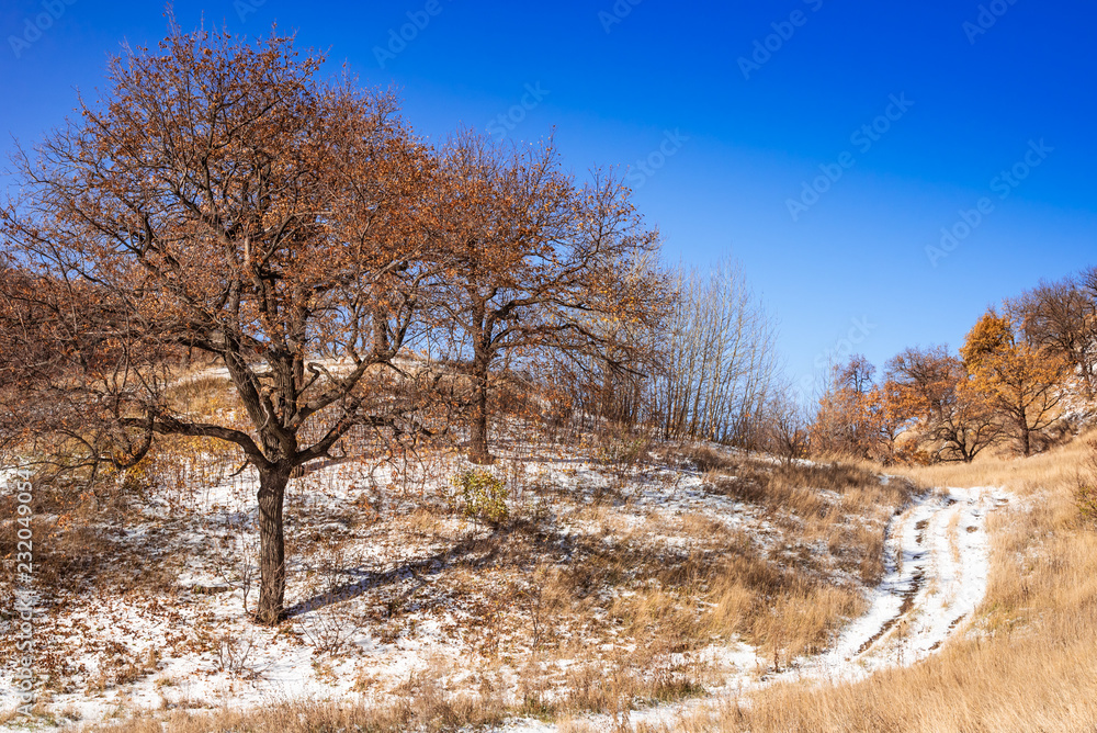 Beautiful winter landscape - trees on snowy hills on a sunny day Beautiful winter landscape - trees on snowy hills on a sunny day