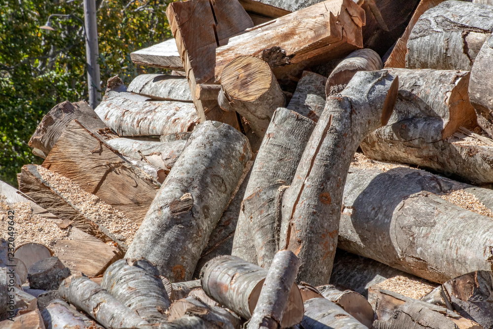 Sawn tree trunks of different sizes laying in pile close up Sawn tree trunks of different sizes laying in pile close up