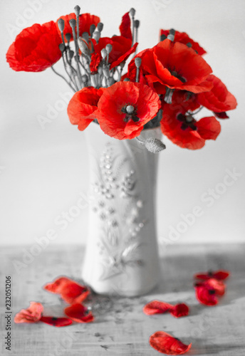 Fototapeta Naklejka Na Ścianę i Meble -  bouquet of field poppies