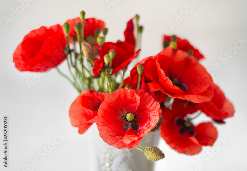 Fototapeta Naklejka Na Ścianę i Meble -  bouquet of field poppies