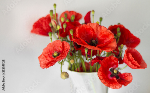 Fototapeta Naklejka Na Ścianę i Meble -  bouquet of field poppies