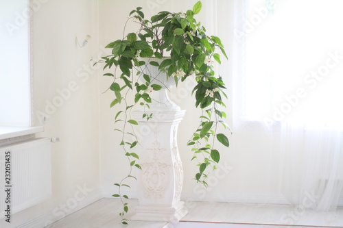 Fototapeta Naklejka Na Ścianę i Meble -  artificial flowers on a column in a white interior