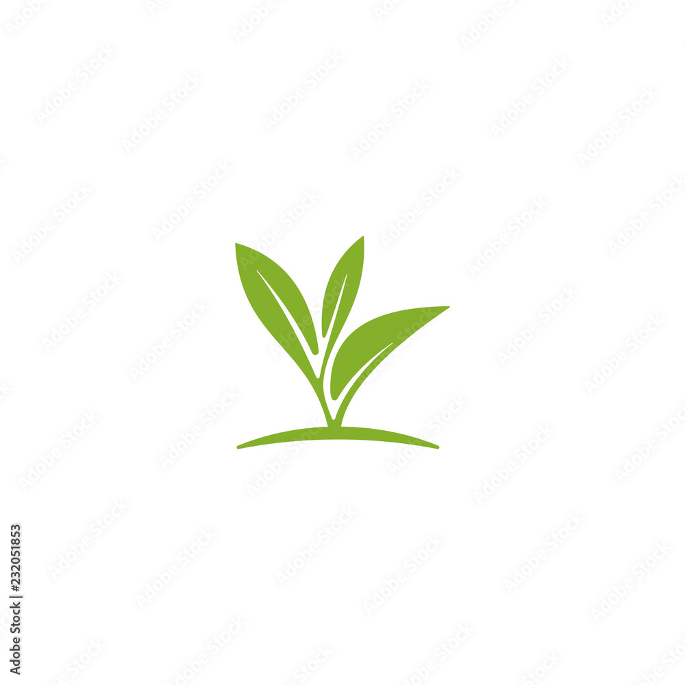 Obraz premium Leaf logo design inspiration, Tea leaf vector
