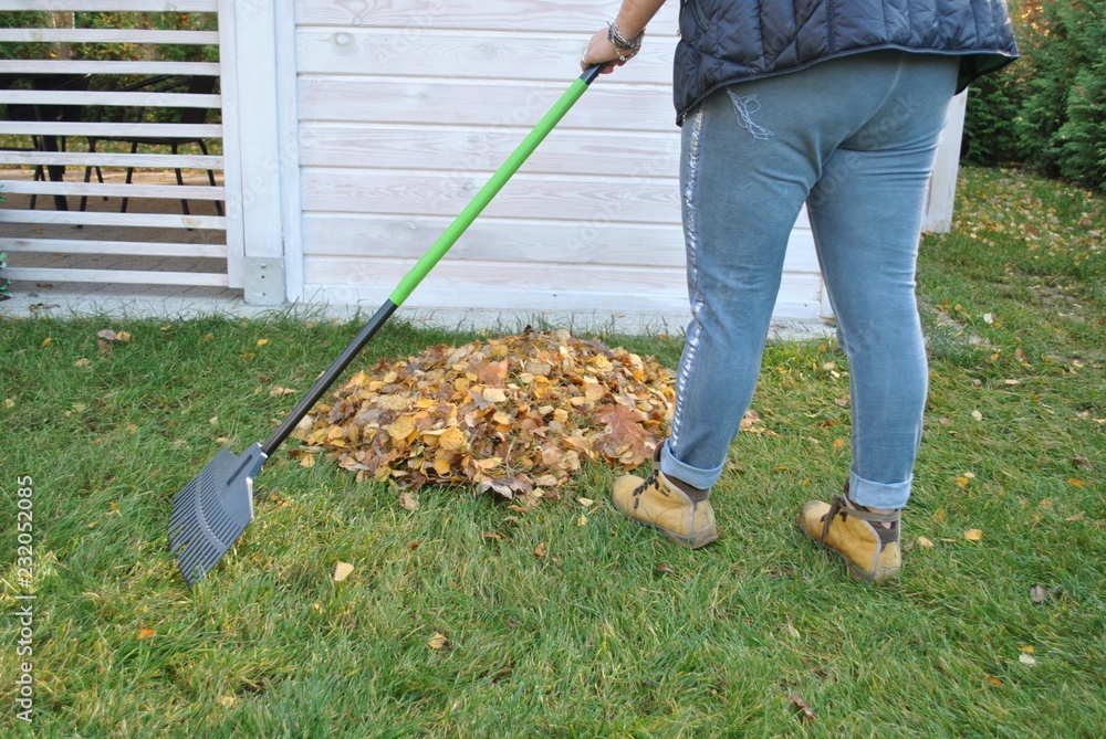 Fototapeta premium Jesienne prace w ogrodzie