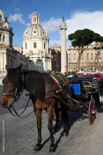 Coche de caballos en el foro romano Roma Italia