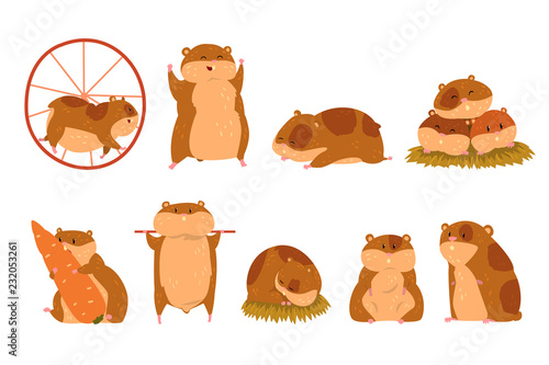 Cute cartoon hamster characters set, funny animal in different situations vector Illustrations