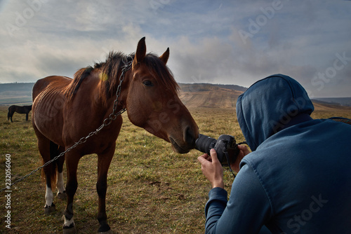 Fototapeta Naklejka Na Ścianę i Meble -  Tourist tourist in a blue sweatshirt with a camera photographs a curious horse. travel concept, photographer at work, autumn time