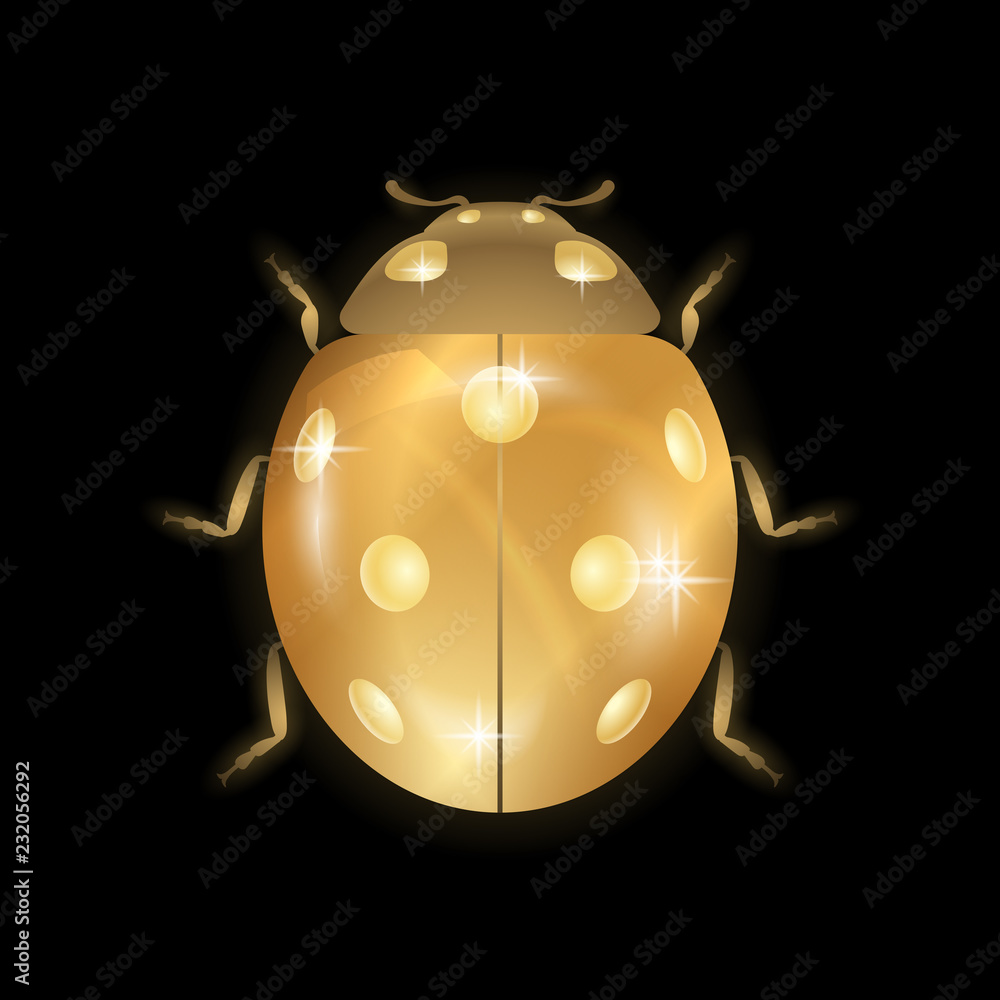 Obraz premium Biedronka owad złota mała ikona. Złoty metal znak biedronka zwierzę, na białym na czarnym tle. Jasny projekt objętości 3D. Śliczna błyszcząca biżuteria biedronka. Lady bird closeup beetle ilustracji wektorowych