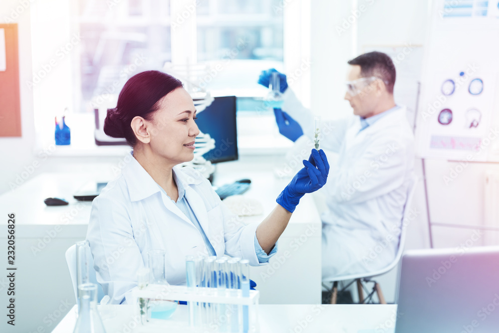 Smart female researcher working in the lab Smart female researcher working in the lab