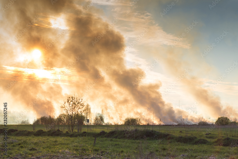Forest and steppe fires dry completely destroy the fields and steppes during a severe drought. Disaster brings regular damage to nature and economy of region. Lights field with the harvest of wheat. Forest and steppe fires dry completely destroy the fields and steppes during a severe drought. Disaster brings regular damage to nature and economy of region. Lights field with the harvest of wheat.