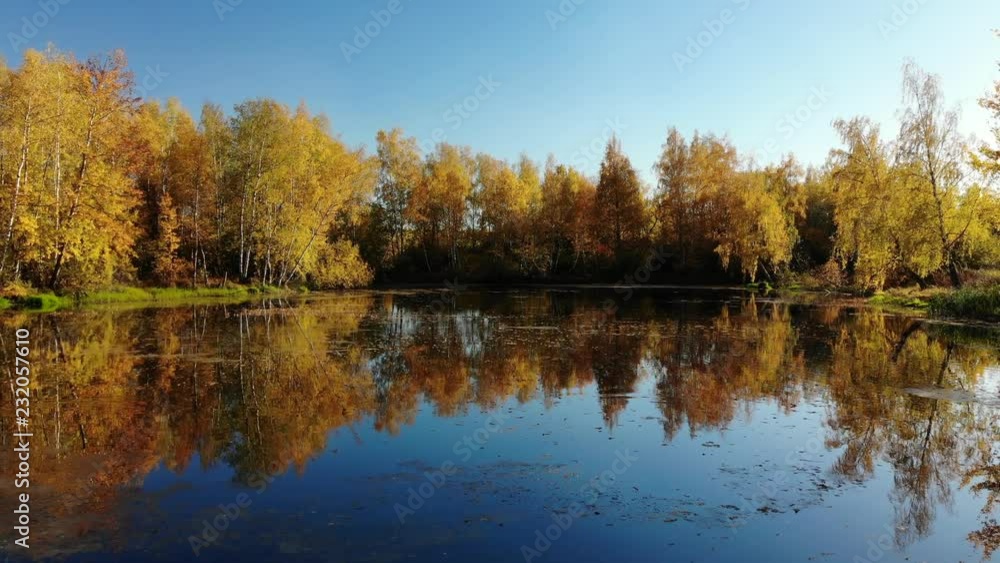 Russian autumn landscape with birches, pond and reflection Russian autumn landscape with birches, pond and reflection