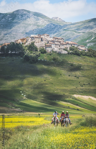 cavalli a castelluccio di norcia