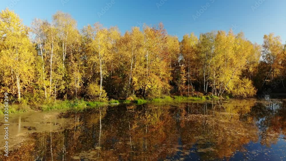 Russian autumn landscape with birches, pond and reflection Russian autumn landscape with birches, pond and reflection