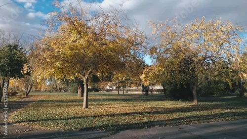 Trees, rest areas and footpaths on park of Vac near in Danube. photo