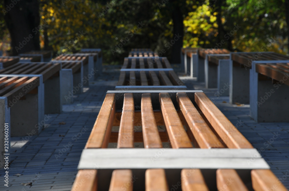 Fototapeta premium Simple design wooden benches in the park