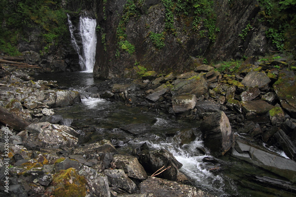 Obraz premium waterfall in the forest