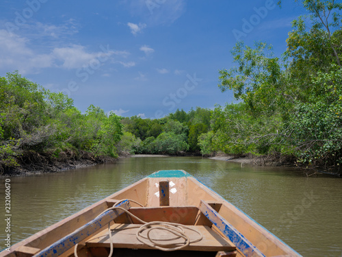 Boat navigating on waterways of Mangrove Forest in Rayong