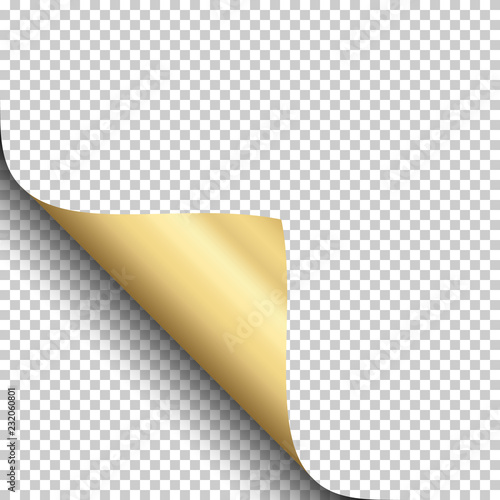 Curly Page Corner, isolated on transparent background.