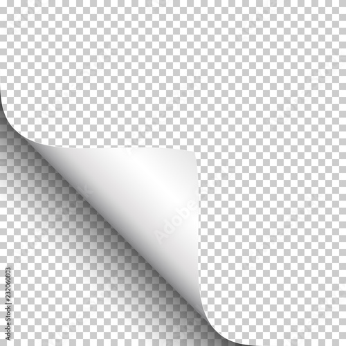 Curly Page Corner, isolated on transparent background.