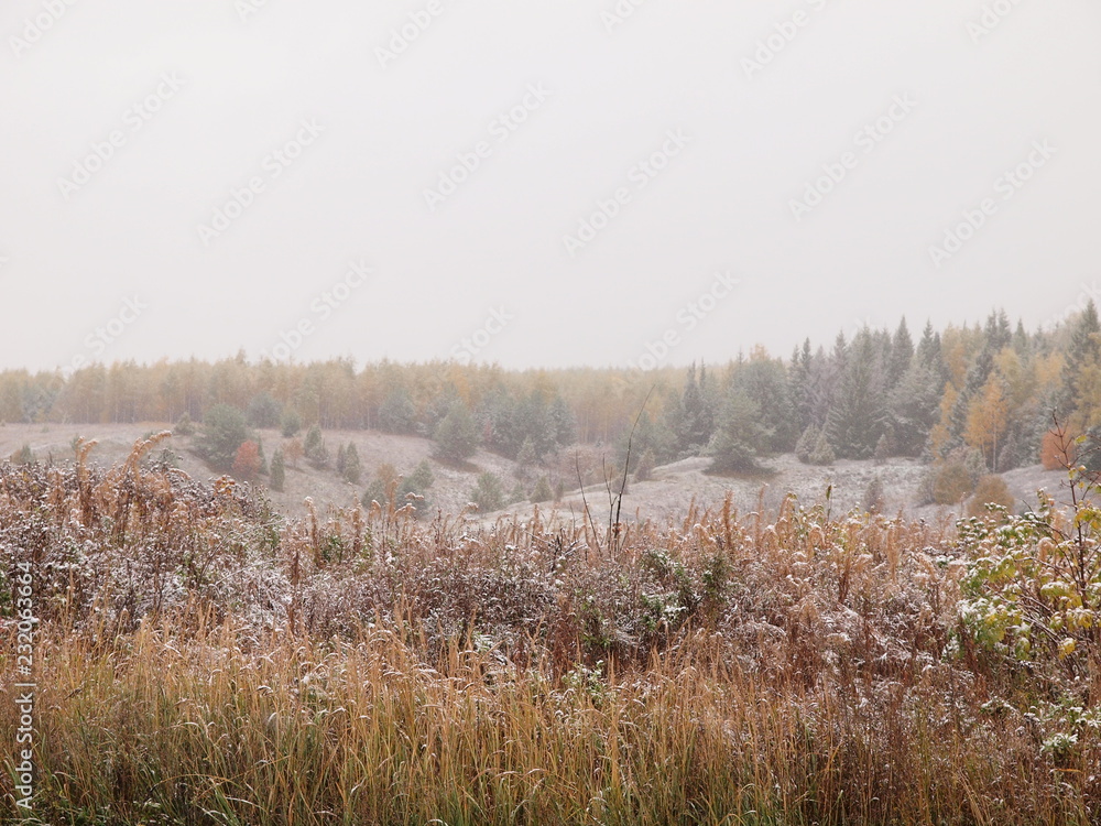First snow. Autumn. Russia, Ural, Perm region