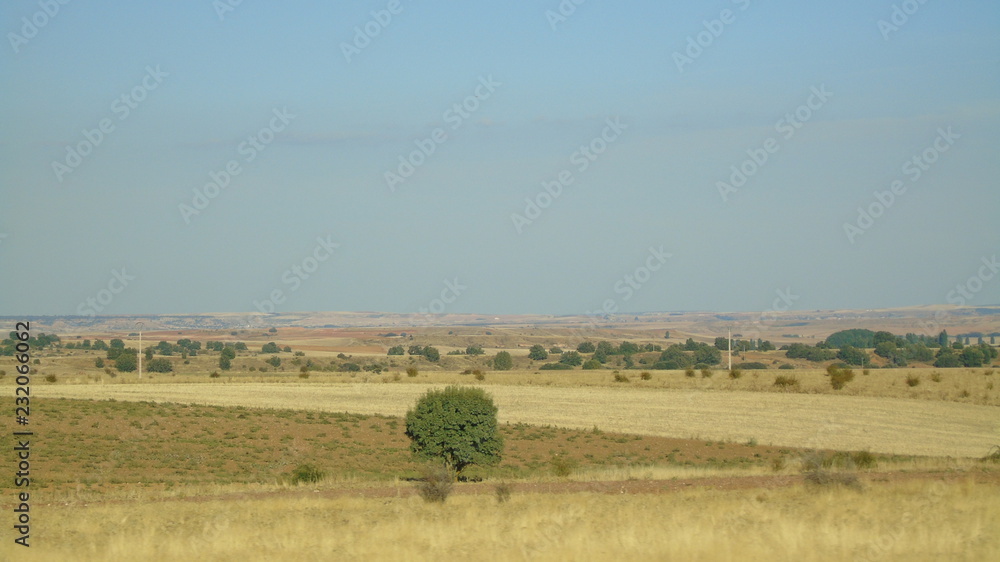 Tierra árida y llana en la provincia de Burgos, España