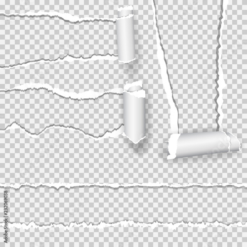 Torn paper set, isolated on transparent background.