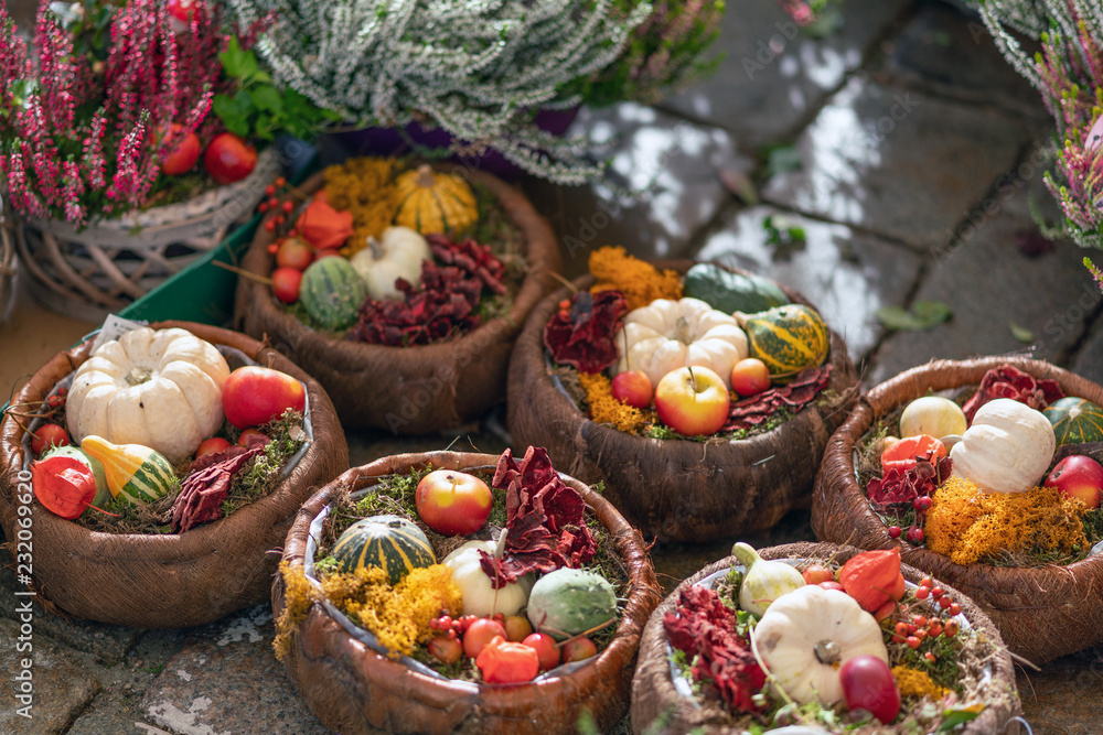 Picture of autumn market. Pumpkin and vegetables on the ground Picture of autumn market. Pumpkin and vegetables on the ground