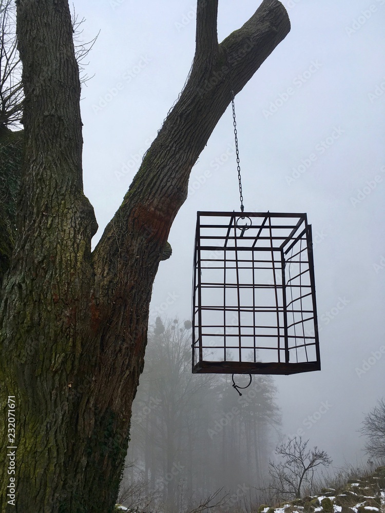 Hanging torture Cage prison on a tree, german tradition in a scary place Hanging torture Cage prison on a tree, german tradition in a scary place