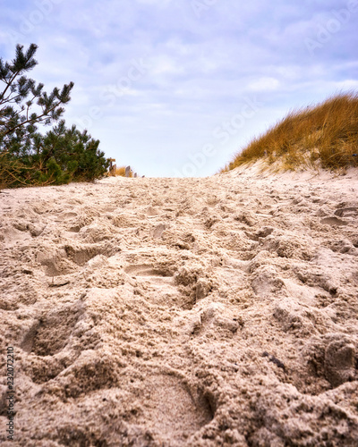 Sand away to the beach, Darsser place on the Baltic Sea. Germany