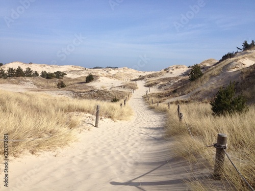 Sand and dunes in   eba  Poland