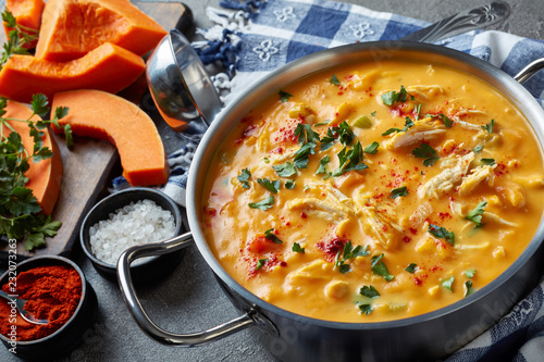 Canvas Print hearty pumpkin carrot chicken breast  soup