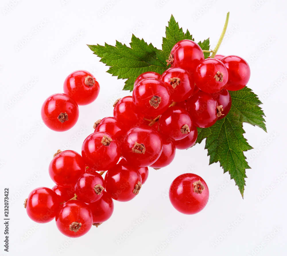 REDCURRANTS REDCURRANTS