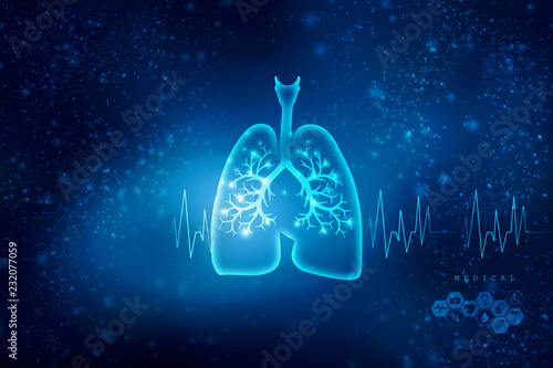 Healthy Human Lungs 2d illustration