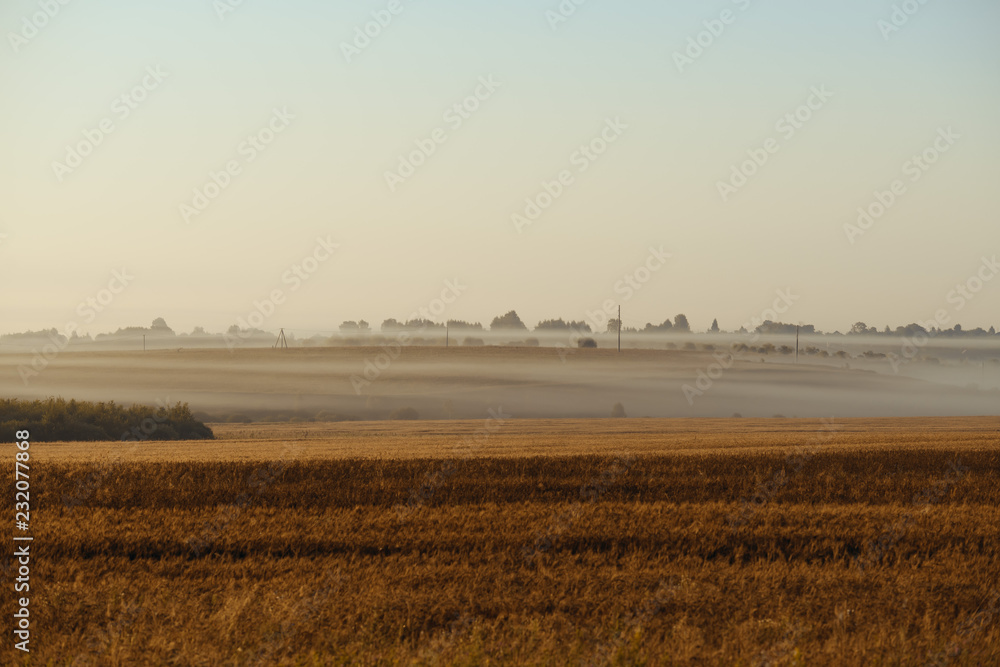 dawn on the field with a hazy haze