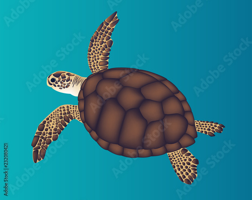 Sea brown turtle. Vector illustration