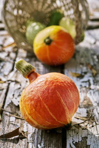 Orange pumpkin and vegetables on the old wooden boards with a peeling paint