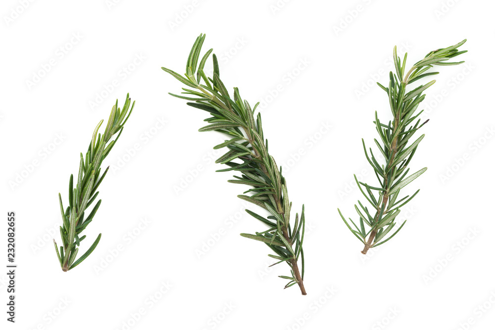Obraz premium rozmaryn na na białym tle