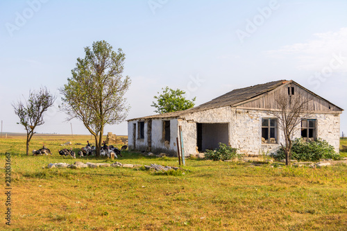 Abandoned destroyed houses. The Windows are stoned. At home grazing turkeys. Abandoned villages in Crimea. photo
