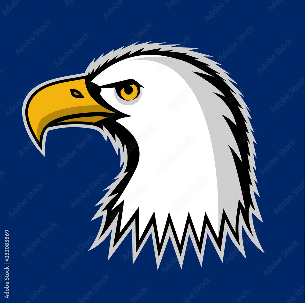 Fototapeta premium Bald eagle symbol of north america.