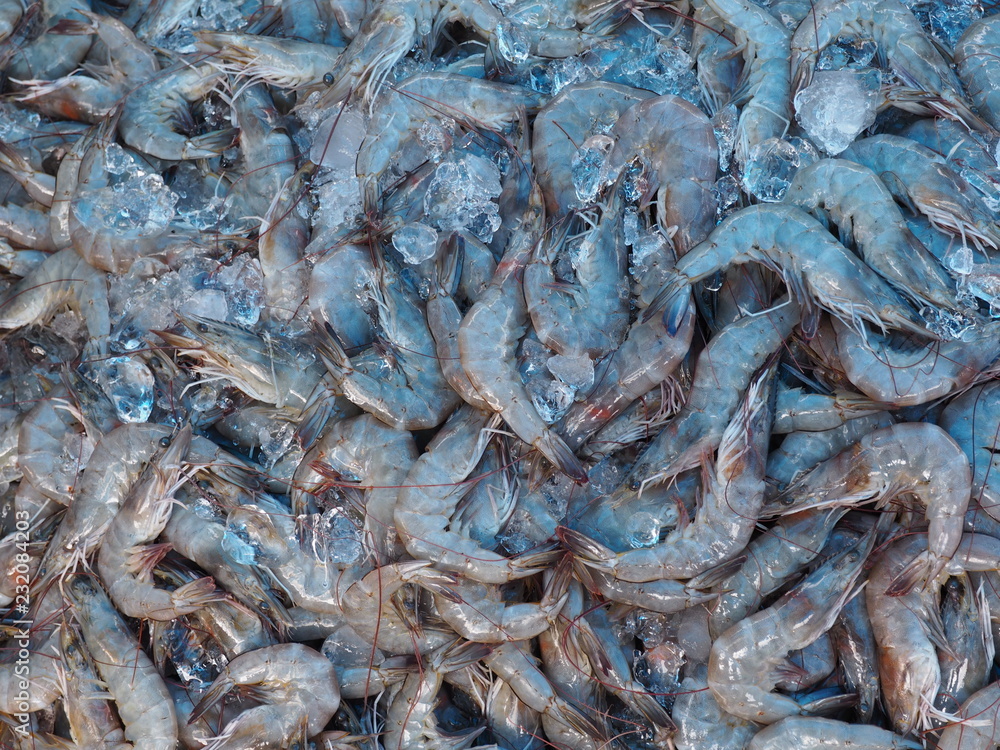 top of view of close up fresh shrimps for sale at the market top of view of close up fresh shrimps for sale at the market