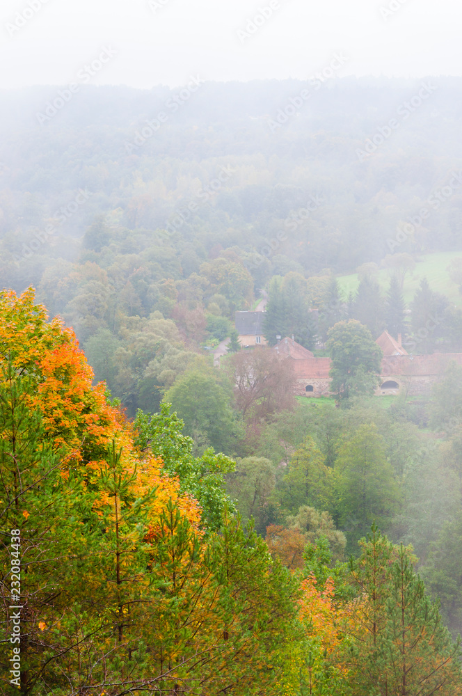 Forest village landscape draped in fog at autumn