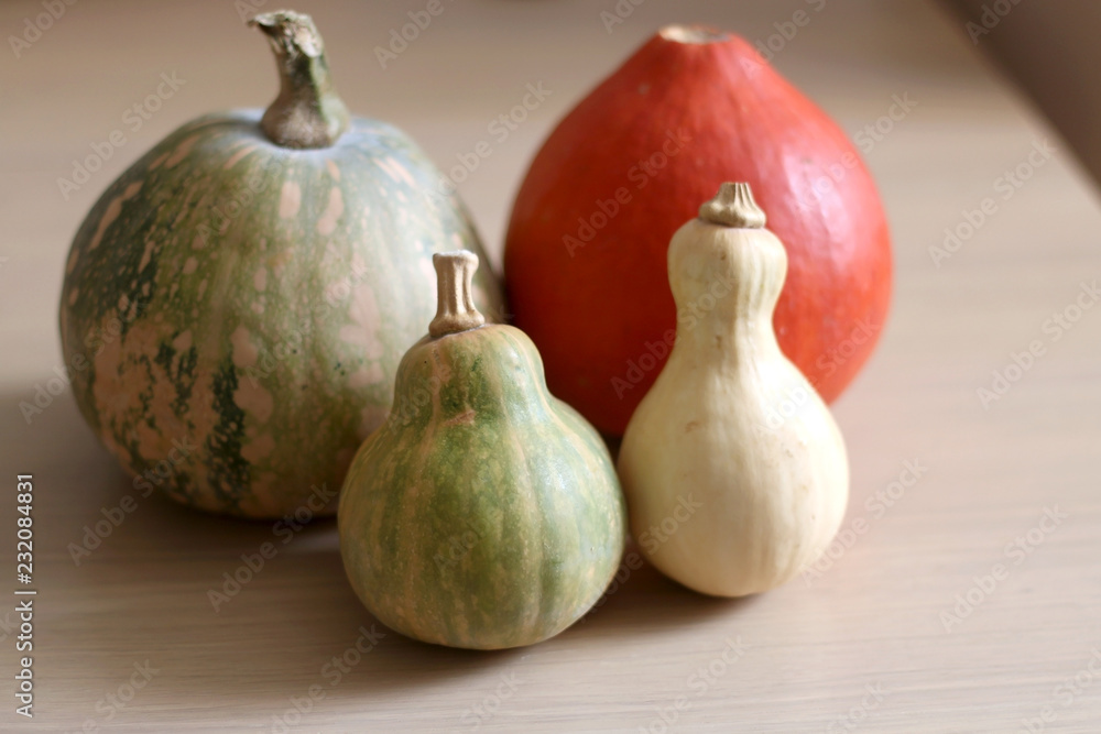 Obraz premium Various pumpkins on a wooden table. Selective focus.