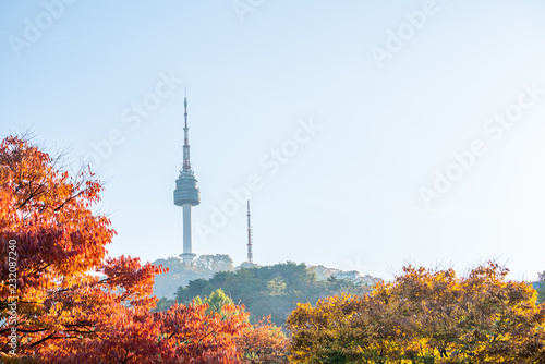 Canvas Print N Seoul Tower In Autumn, South Korea