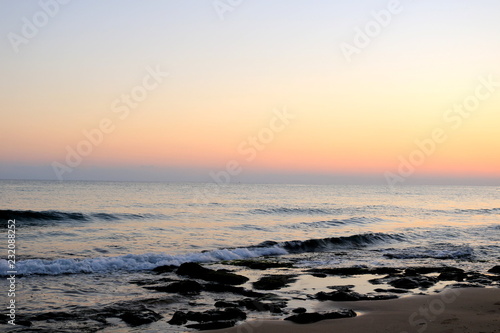 Fototapeta Naklejka Na Ścianę i Meble -  Sunset sea plant sand sunrise