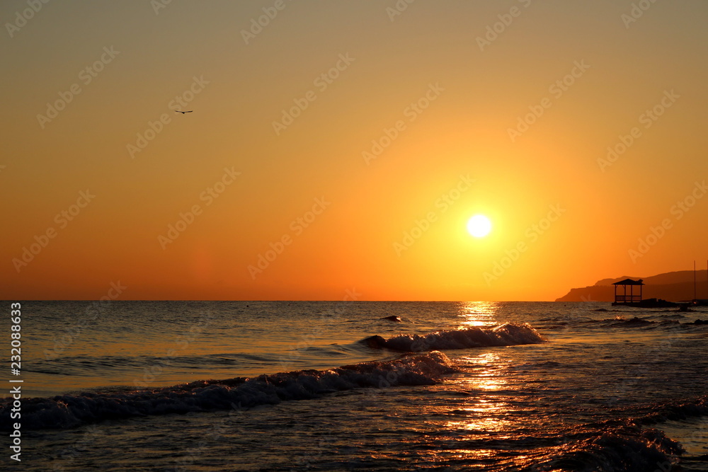 Sunset sea plant sand sunrise