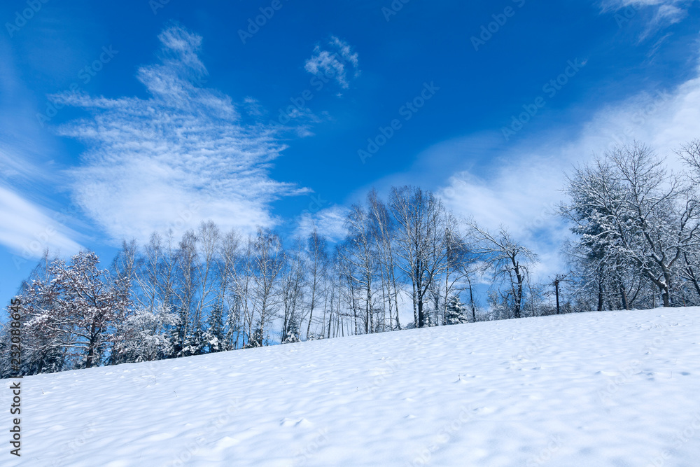 Fototapeta premium Morning winter season snowy countryside landscape with blue sky.