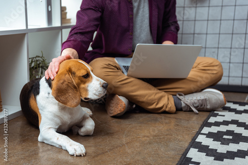 cropped image of male freelancer with laptop touching beagle in home office