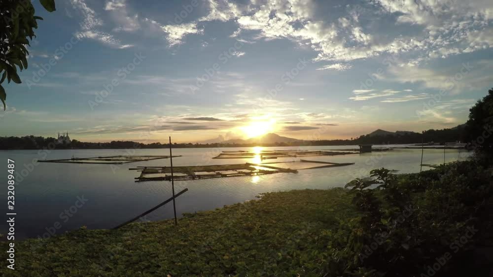 sunset over bamboo aquaculture structures and water lilies in the middle of the lake. silhouettes sunset over bamboo aquaculture structures and water lilies in the middle of the lake. silhouettes